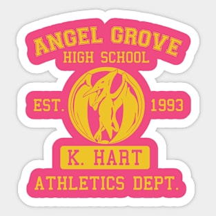 Pink Team Sticker